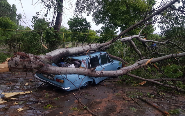 Göyçayda vəziyyət necədir?
