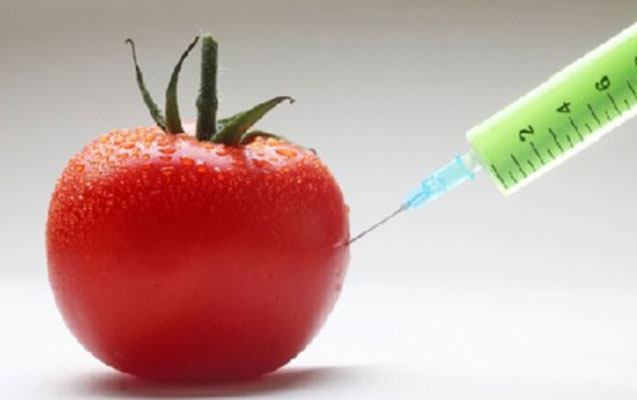 Azərbaycanda GMO məhsullarının siyahısı hazırlanacaq