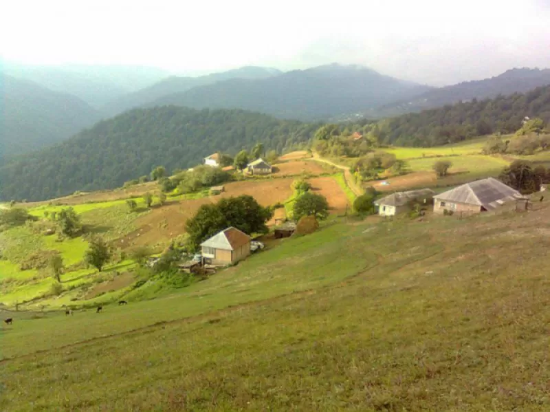 Rəsmi rəqəmlərə görə, Lənkəran və Tovuz rayonları yoxsulluq üzrə liderdir