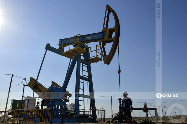 2023-cü ildə neft neçəyə olacaq - proqnozlar bədbinləşir...