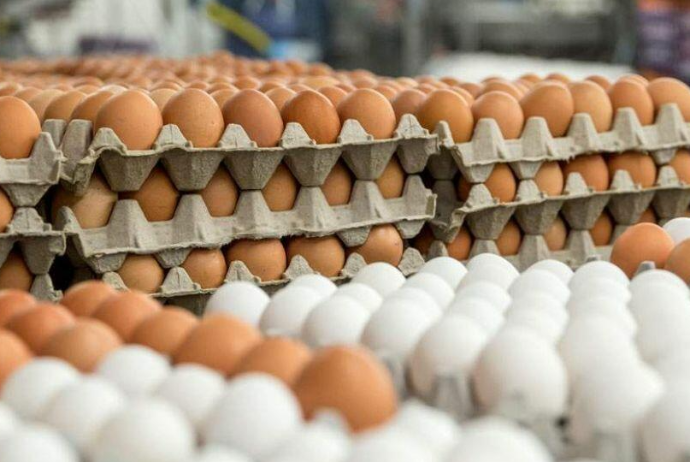 Azərbaycanda yumurtanın “bahalaşması” ilə bağlı qurumdan - AÇIQLAMA