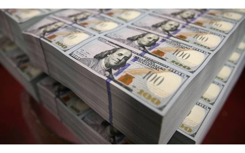 Gürcüstanın dövlət xarici borcu 9 milyard dolları ötüb