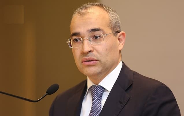 Pandemiyadan zərər çəkmiş sahibkarlara 292 mln. manat zəmanət verilib