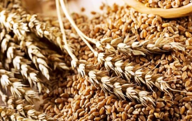 KİV: Türkiyə Ukrayna taxılını bazar qiymətlərindən aşağı qiymətə ala biləcək