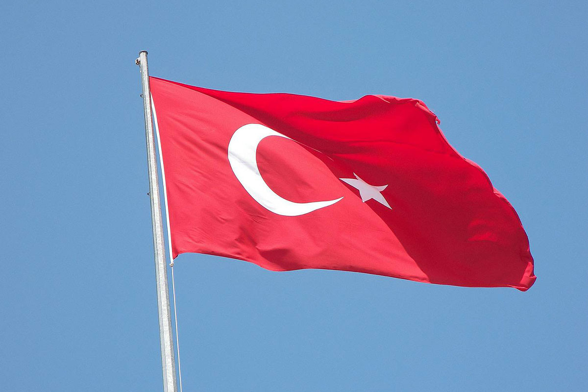 Ərdoğan: Təyyarə qəzası ilə bağlı Gürcüstanla koordinasiyalı şəkildə işləyirik