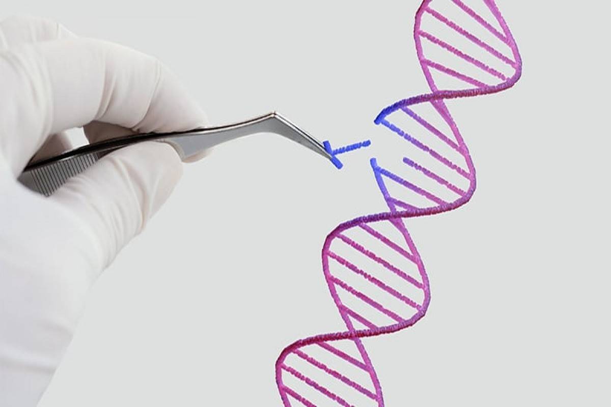 Azərbaycanda insanın klonu patent obyekt kimi qəbul edilməyəcək